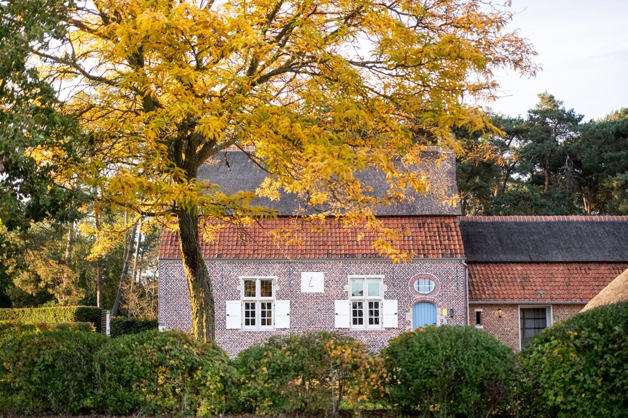 Beddermolen - Molenhuis Op Historisch Erfgoeddomein Westerlo Extérieur photo