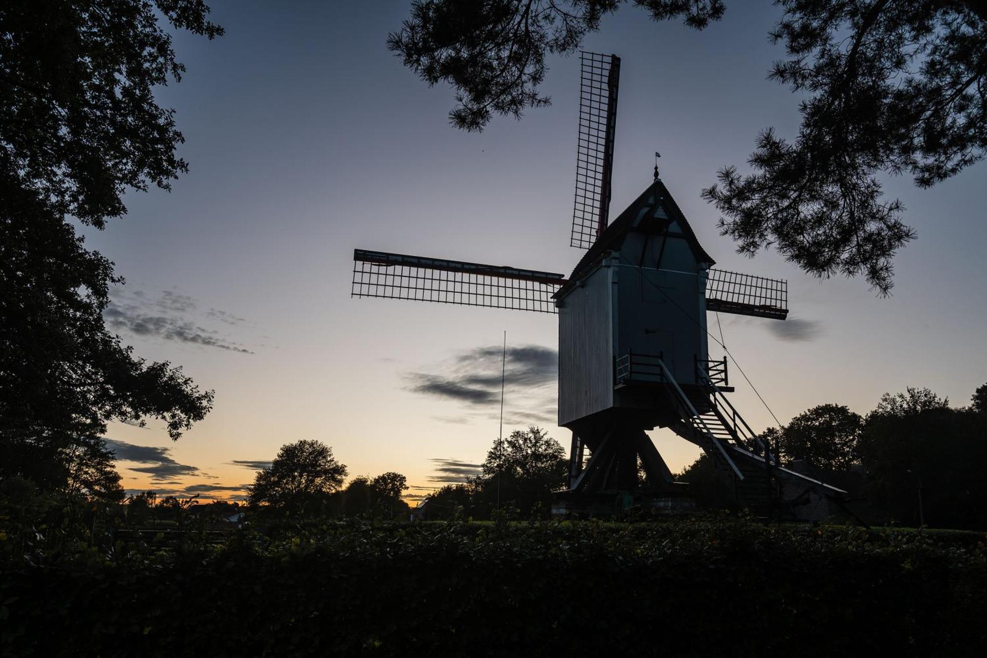 Beddermolen - Molenhuis Op Historisch Erfgoeddomein Westerlo Extérieur photo